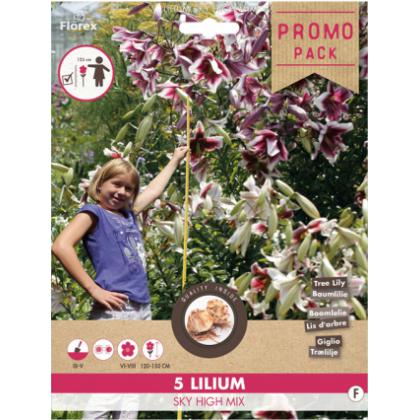 Lilium Promo zmes 5ks