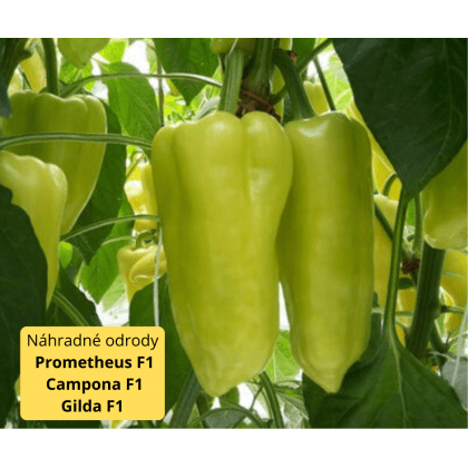 Paprika POSONIUM F1 - 250s