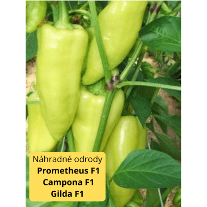 Paprika PROMONTOR F1- 250s