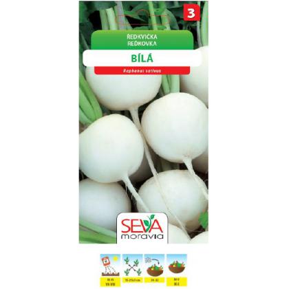 Reďkovka Bílá - 5g