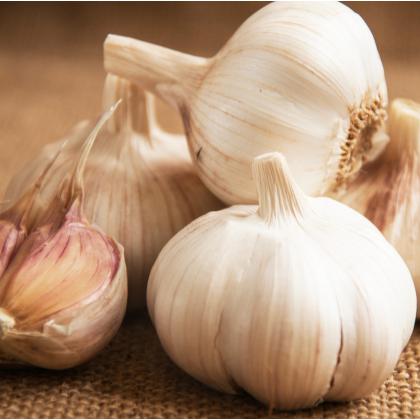 Cesnak ozimný Messidrome 250g 