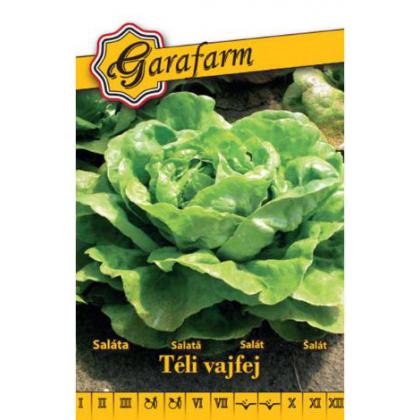 Šalát zimný – Téli vajfej, 2g