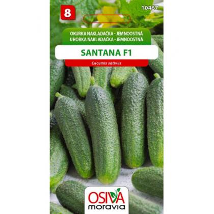 Uhorka nakládačka SANTANA F1