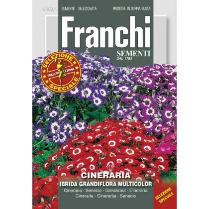 Starček GRANDIFLORA ZMES F1 - 0,1g