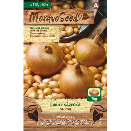 Cibuľa sadzačka Sturon - 0,1kg