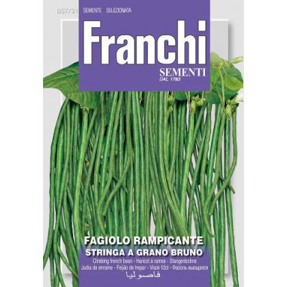 Fazuľa ťahavá STRINGA A GRANO BRUNO 18g