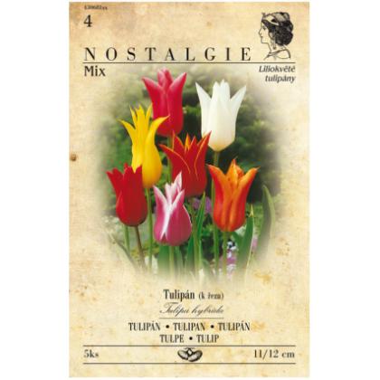 Tulipán laľiokvetý-zmes 5ks