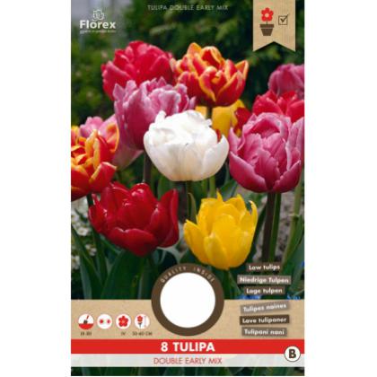 Tulipán Double Early Murillo mix 8ks