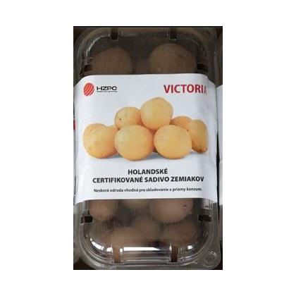 Victoria - holandské sadbové zemiaky 45ks