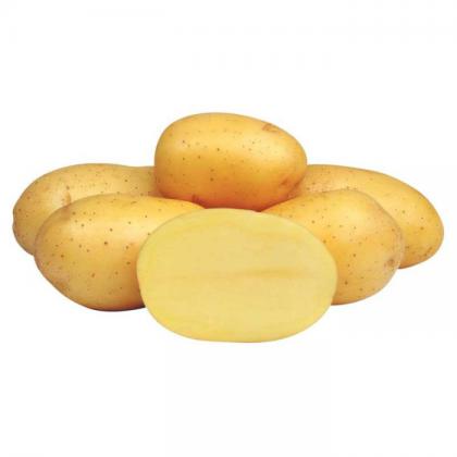Marabel - slovenské sadbové zemiaky 5kg