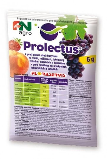 Prolectus 6g