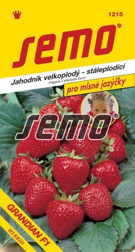 SEMO Jahoda vekoplodá GRANDIAN F1 12s