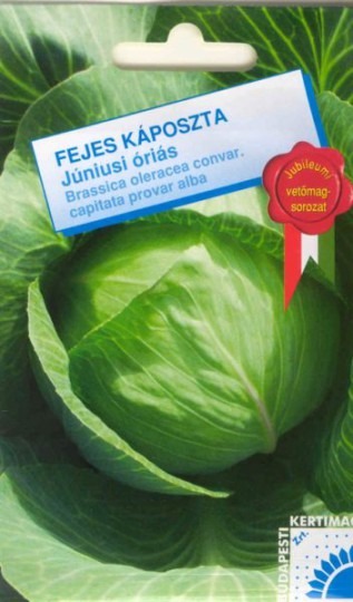 Kapusta letná – Júnó – Júniusi óriás, 1 g