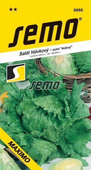 Šalát hlávkový MAXIMO 0,5g