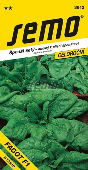 Špenát siaty FAGOT F1 - 300s