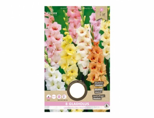 Gladiolus PASTEL ZMES 8ks