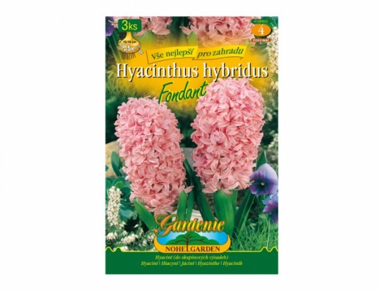 Hyacint Fondant 3ks 