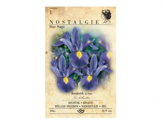 Iris MAGIC BLUE 10ks