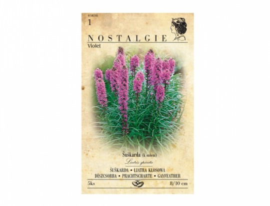 Liatris VIOLET 5ks