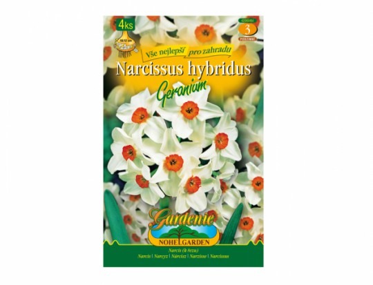 Narcis botanický - Geranium 4ks