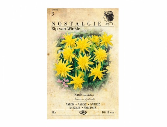 Narcis- Salome 4ks Narcis- Salome 4ks