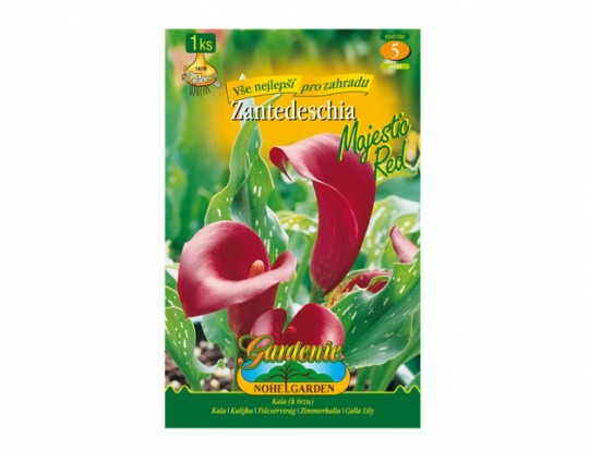 Kala (zantedeschia) MAJESTIC RED 1ks