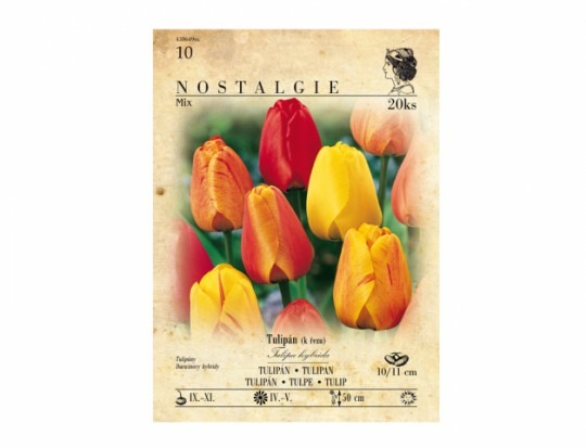 Zmes Ekonomik tulipány, Darwinovy hybridy 20ks
