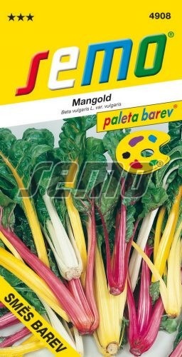 Mangold - zmes farieb