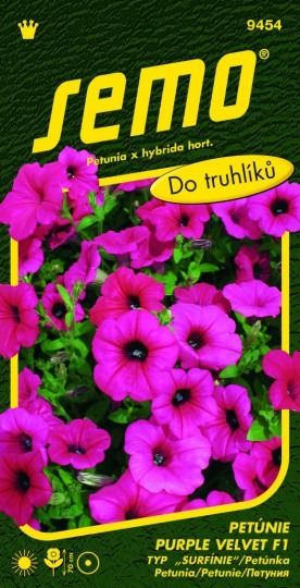 Petúnka Purple Velvet F1 (typ surfinie) 10 peliet