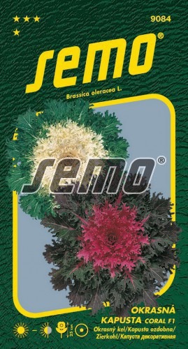 Kapusta okrasná CORAL F1 MIX 20s