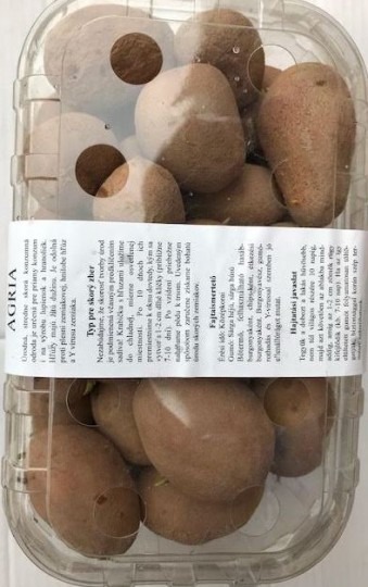 Agria - sadbové zemiaky 45ks
