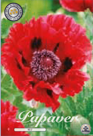Papaver - Red 3ks