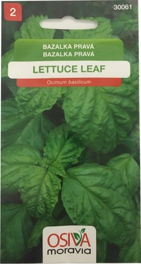  Bazalka pravá LETTUCE LEAF - 0,3g
