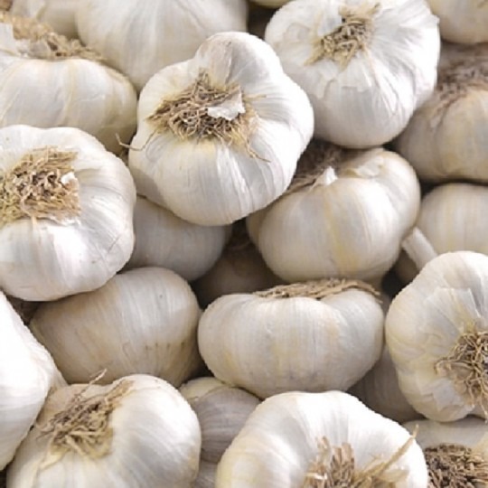 Cesnak ozimný Dukát 4-7ks 250g 
