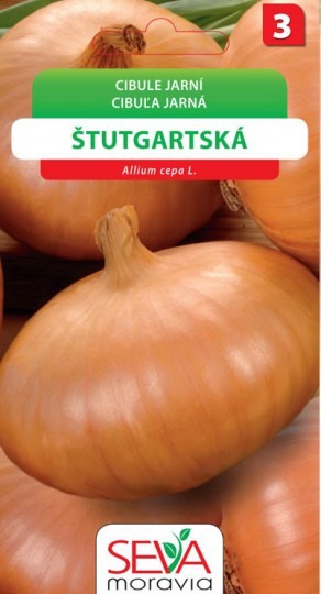 Cibuľa ŠTUTGART