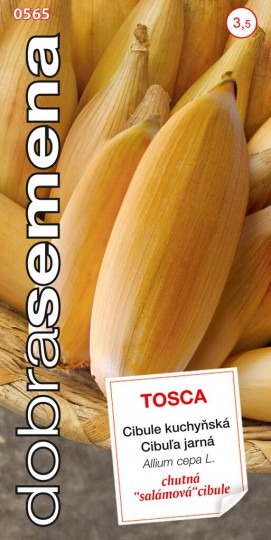 Cibuľa jarná Tosca -1g