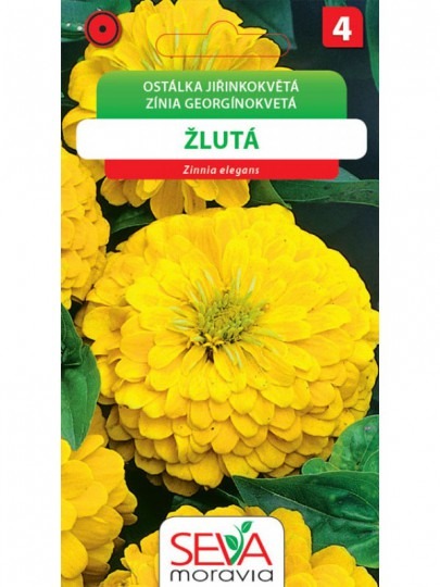 Cínia žltá - 1g