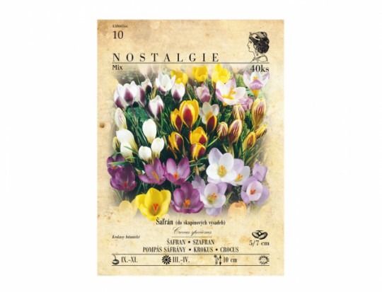 Krókus /Crocus Botanical/- Mix 40ks