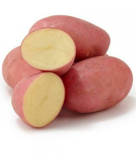Desiree - sadbové zemiaky 5kg Desiree - sadbové zemiaky 5kg