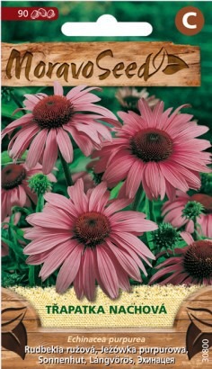 Rudbekia ružová (Echinacea purpurea)- 90s