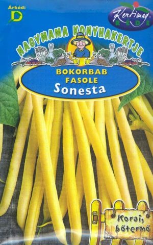 Fazuľa kríčková - SONESTA 50g