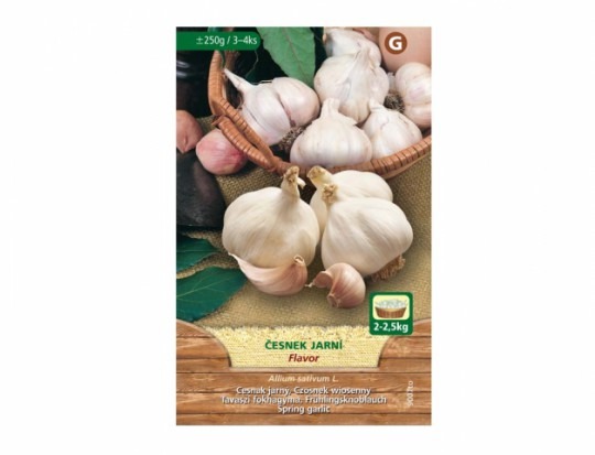 Cesnak jarný Flavor, 250g 