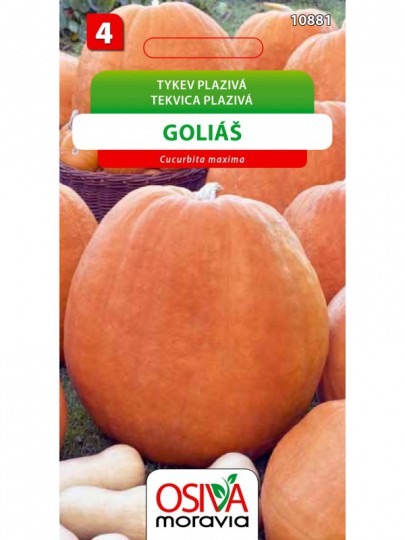 Tekvica GOLIÁŠ 8s