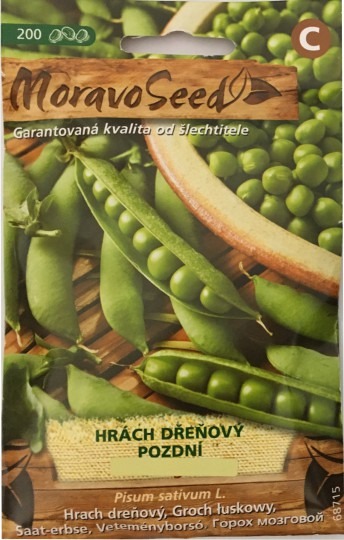 Hrach dreňový neskorý SYLE -200s