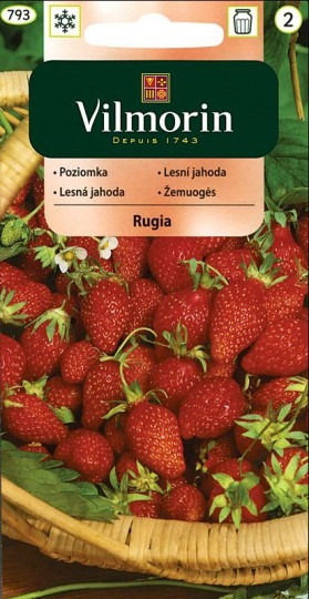 Jahoda mesačná - Rugia 0,2g