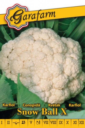 Karfiol letný Snow Ball X 1g