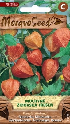 Machovka čerešňová (Physalis) oranžová -75s 