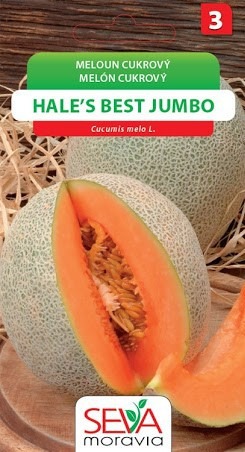 Melón cukrový JUMBO