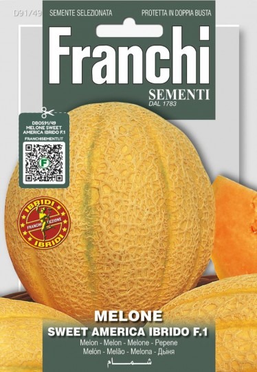 Melón cukrový SWEET AMERICA F1 0,3g