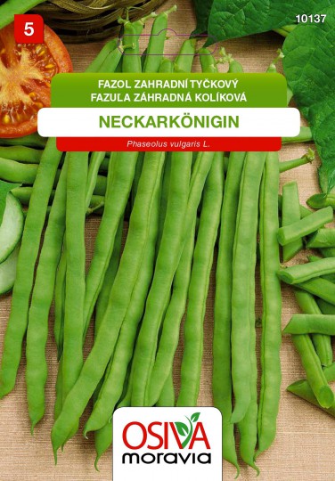 Fazuľa tyčová - NECKARKÖNIGIN 15g